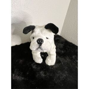 Vanguard MARINE CORPS BULLDOG chesty - PARRIS ISLAND MASCOT usmc